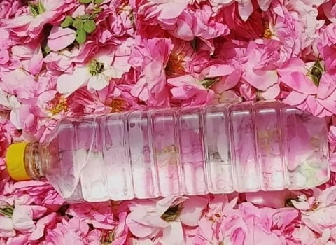 تصویر 2 از فروش گلاب دو آتیشه + قیمت خرید به صرفه